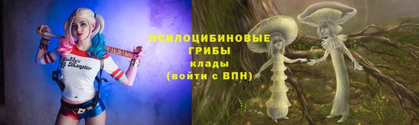 стаф Новозыбков