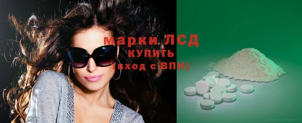 стаф Новозыбков