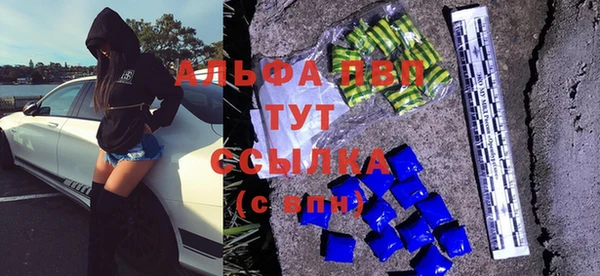 стаф Новозыбков