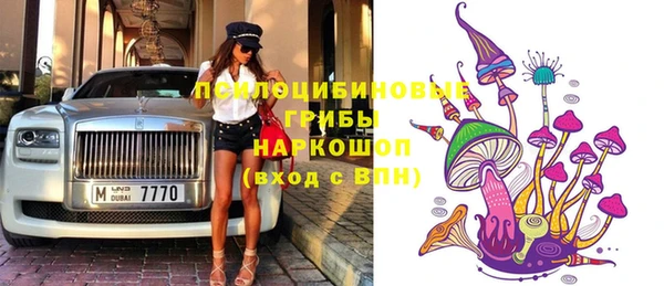 стаф Новозыбков