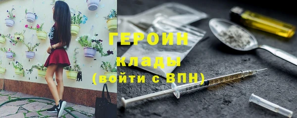 стаф Новозыбков