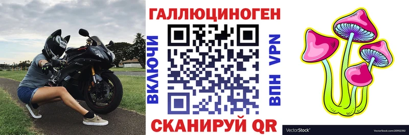 Галлюциногенные грибы Psilocybine cubensis  Спас-Клепики 