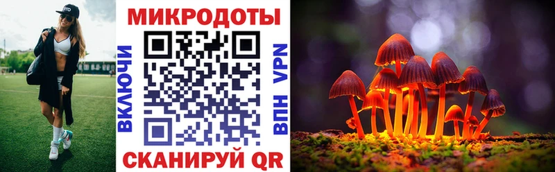 Галлюциногенные грибы прущие грибы Спас-Клепики